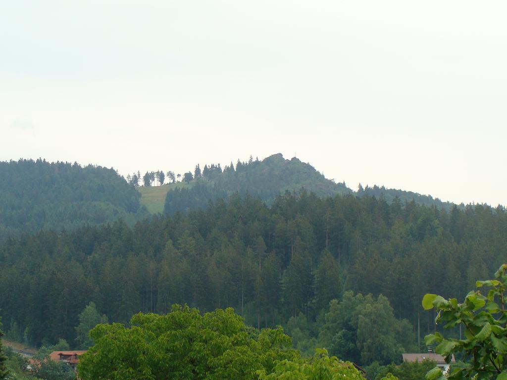 Hotel Drei Tannen Bodenmais Exteriér fotografie