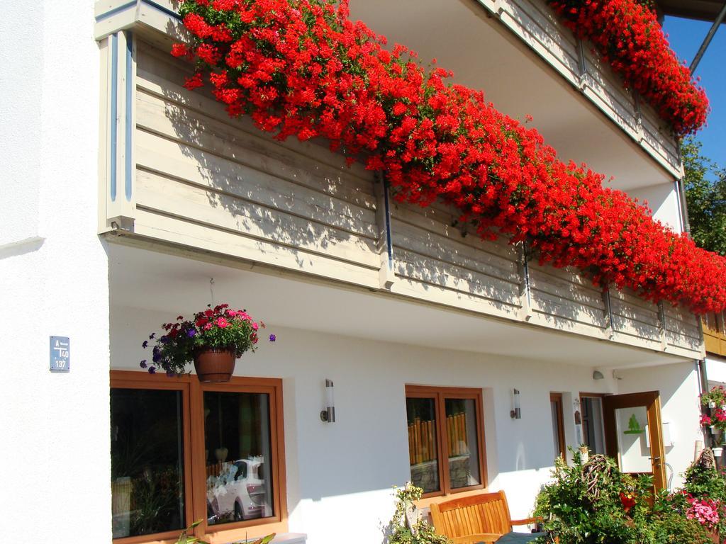Hotel Drei Tannen Bodenmais Exteriér fotografie