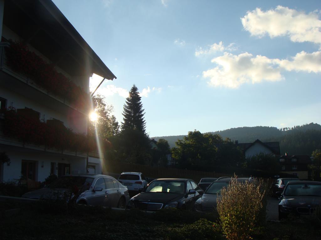 Hotel Drei Tannen Bodenmais Exteriér fotografie