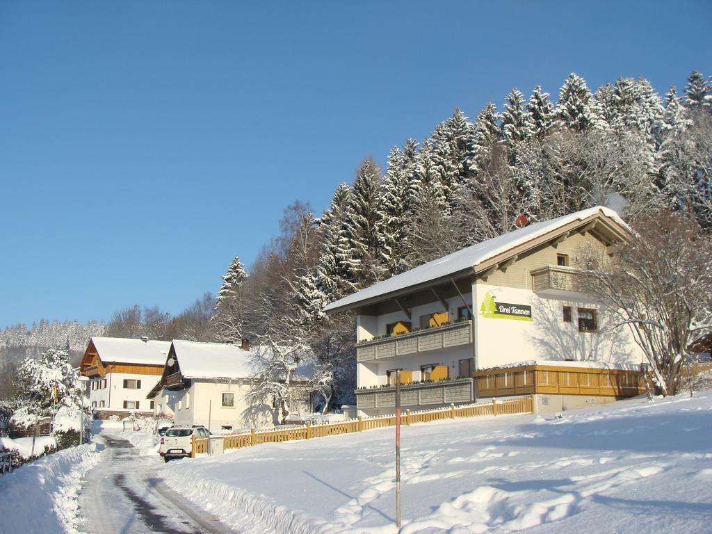 Hotel Drei Tannen Bodenmais Exteriér fotografie