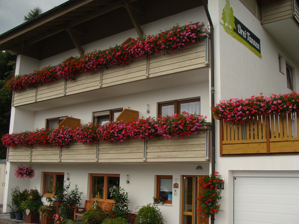 Hotel Drei Tannen Bodenmais Exteriér fotografie